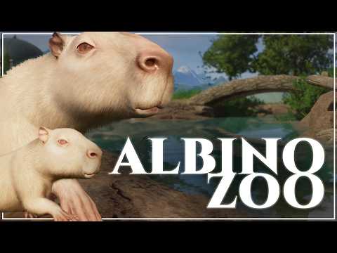 Designing The Ultimate Capybara Spa In Our Albino City Zoo
