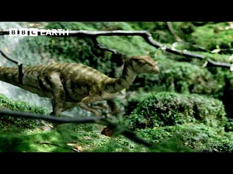 Leaellynasaura Clan Face Devastating Blow | Walking With Dinosaurs (1999) | Bbc Earth Science