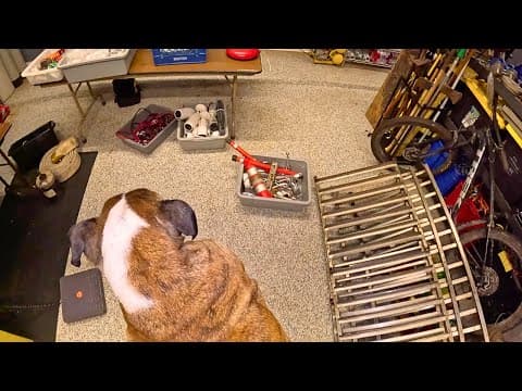 Scavenger Follow Up (episode: Turn Up The Ac Slater!!!)