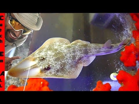 We Found $25,000 Worth Of Rare Fish In A Dark Web Aquarium!