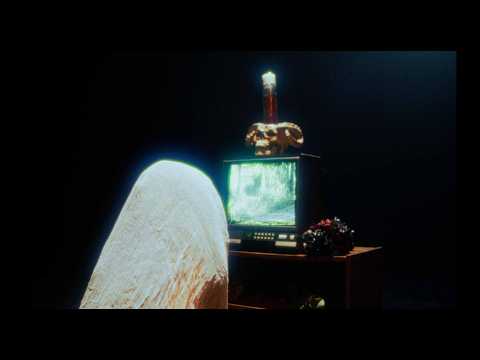 Spirit Leaves - Empty Flame (official Lyric Video)