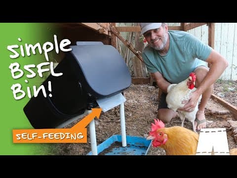 How To Make A Simple Trashcan Bsfl Composting Bin