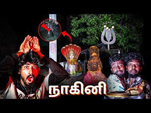 கொடூர கருடனும் கோரமான நாகினியும் !🐍😱