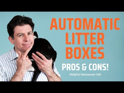 Automatic Litter Box - Pros And Cons