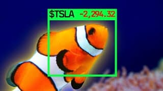 I Gave This Fish $10,000 to Trade Stocks