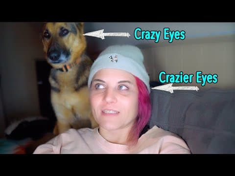 German Shepherd Owners Are Psycho