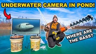 Fishing With Underwater Camera In The Backyard Pond!!! (found Thousands Of Fish)
