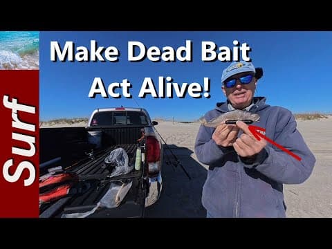 Innovative Fishing Bait Enhancement Device - Kanama Smart Bait Mini