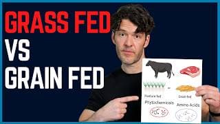New Science On Grass-fed Beef Will Surprise You