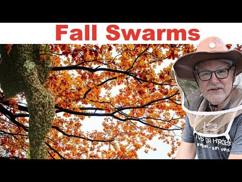 Beekeeping Winter Preparation Series: Fall Swarm Prevention