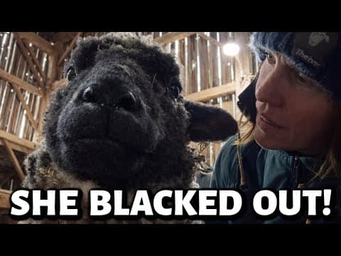 Did She Just Have Another Seizure?!!  ...this Was Weird.