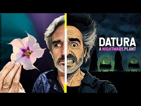 "the Worst Trip Of My Life" : Datura - The Stuff Of Nightmares