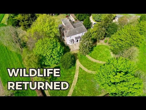 We Did Almost Nothing & Nature Came Back