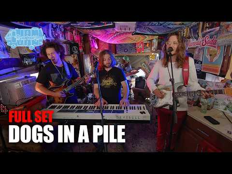 Dogs In A Pile | Jam In The Van | Psychedelic Rock And Roll (full Set 2025)