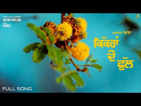 Kikran De Phull (official Song) Arjan Dhillon | | Mxrci | Panj-aab Records