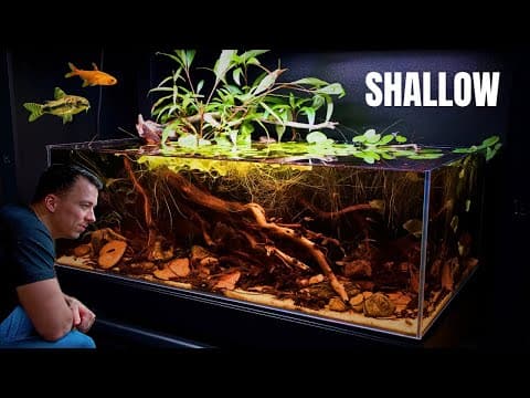The Amazon Inspired Blackwater Shallow - Aquascape Tutorial