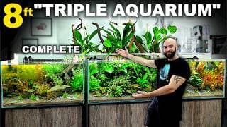 Building An 8ft Colossal Triple Aquarium Finished!
