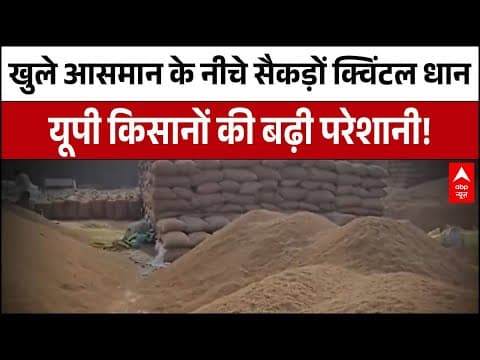 UP News: धान की बिक्री में गड़बड़ी, फतेहपुर के किसानों ने मंडी समिति पर लगाया आरोप | Fatehpur