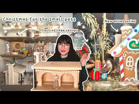 All My Small Pets Get Christmas Themed Setups | Vlog
