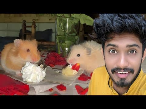 😜my Pets Eating Cake For The First Time🐹 Wayanad Farmhouse Stay