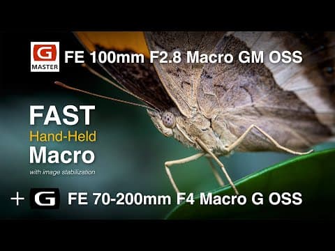Sony 100mm Macro Gm And 70-200 Macro G Lens Review