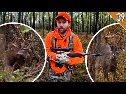 Bucks EVERYWHERE!!! - (Deer Hunting Hardwoods in the SOUTH)