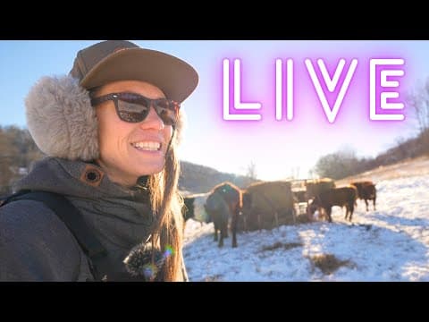 Nashville Icepocalypse!, 6 Days No Power, Beehive Disaster, Q&a | February Aoat Live