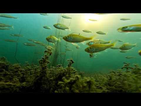 First Lake William Hovell Fishing Adventure For 2026