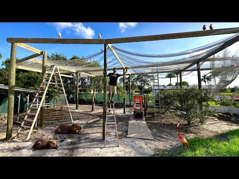 Aviary Construction Pt. 2 - Framing & Mesh Setup!