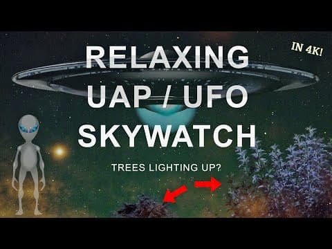 They Are Everywhere Throughout The Sky! (relaxing Uap / Ufo Skywatch Video)