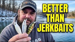 Bass Stop Biting Jerkbaits? Pick This Up Now!