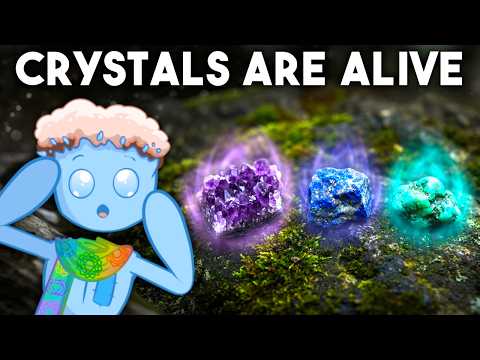 Crystals Are Alive And Science Hints Why