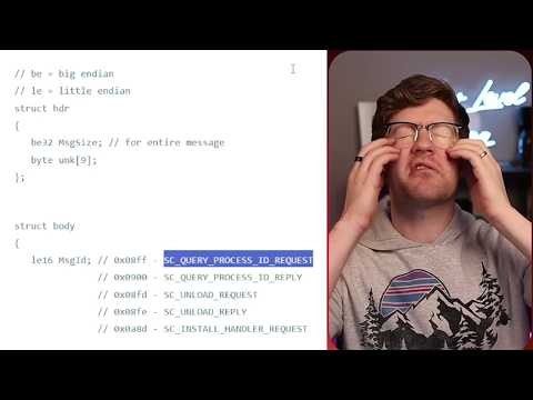 This Bug Cannot Be Real
