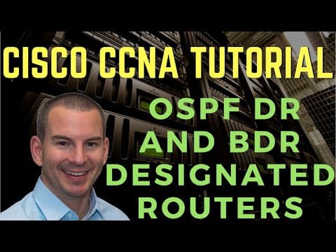 Cisco Ospf Dr And Bdr Designated Routers