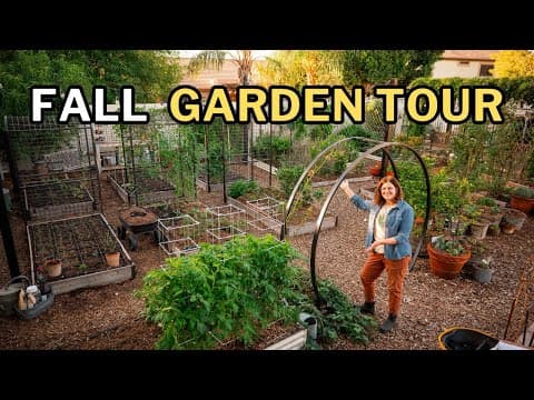 Arizona Fall Garden Tour: What I’m Planting Now