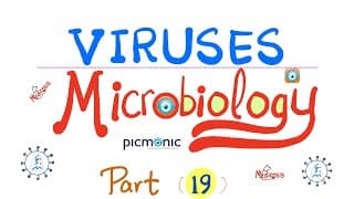 Virology - Dna Viruses - Hsv, Vzv, Ebv, Cmv, Mononucleosis - Picmonic Microbiology (part 19)