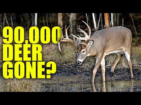 The Biggest Threats To Deer Hunting According To Ohio Wildlife Council Chairman