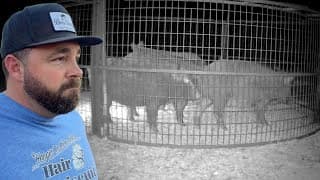 We Got The Pecan Thieves!