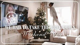 We Had To Take The Tree Down...this Was Not The Plan! 😱🌲