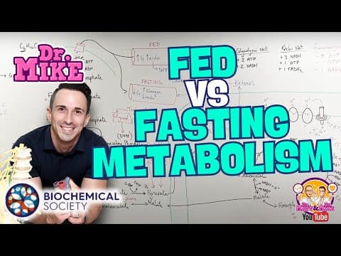 Fed Vs Fasting Metabolism