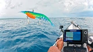 Switching To A Prawn Made The Day - Truck Camping Catch & Cook