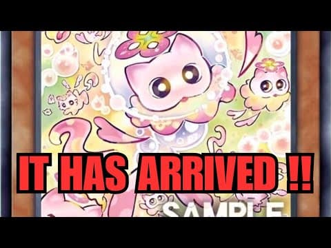 You Knew This Was Coming... (the Next Mulcharmmy)