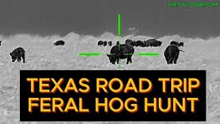 Texas Road Trip Hog Hunt