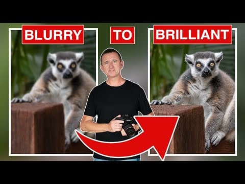 From Blurry To Brilliant: Pro Tips For Perfect Focus In Photography