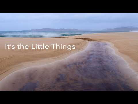 The Tiny Adjustments That Transform Your Photography