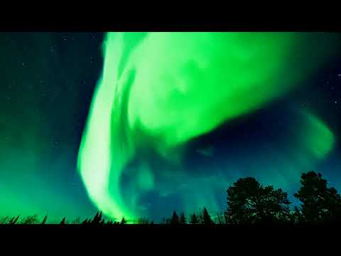 Cooper Stites & Marble Elephant - Silence