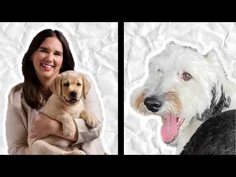 Why One Dog Talks And The Other Doesn’t (yet)