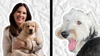 Why One Dog Talks And The Other Doesn’t (yet)