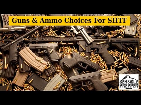 Guns & Ammo Choices For Shtf