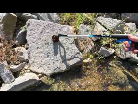 When You Realize Its Still Alive: City Creek Surprise